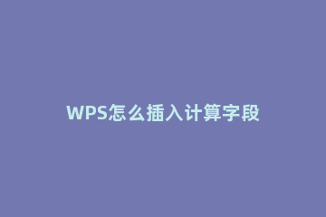 WPS怎么插入计算字段 wps怎么加法计算