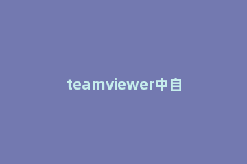 teamviewer中自定义互动的设置具体方法介绍 teamviewer操作方法