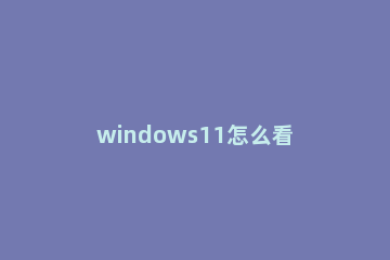 windows11怎么看wifi密码 windows10怎样看wifi密码