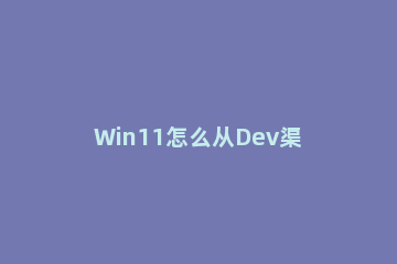 Win11怎么从Dev渠道切换Beta渠道？Win11从Dev渠道强制切换Beta渠道教程方法