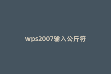 wps2007输入公斤符号的操作步骤 wps表格运算符号