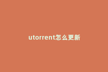 utorrent怎么更新升级 uTorrent.v2.21 已优化配置版