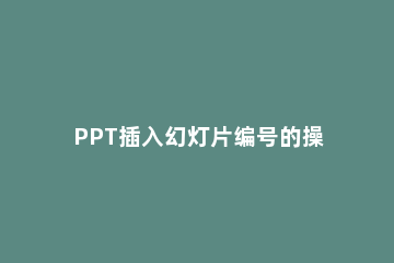 PPT插入幻灯片编号的操作流程 ppt中如何添加幻灯片编号