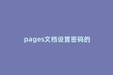 pages文档设置密码的方法介绍 pages怎么设密码