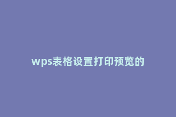 wps表格设置打印预览的操作流程 wps怎么打印预览怎么设置