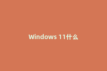 Windows 11什么是目前缺失或即将消失?Windows 11目前缺失或即将消失的功能