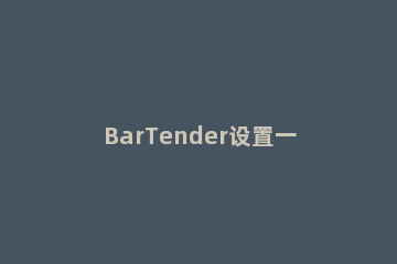 BarTender设置一行两列却显示不出来两列的处理操作 bartender两列只打印一列怎么办