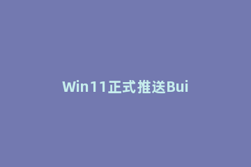 Win11正式推送Build10.0.22000.51预览版 Windows 11 Build 22000.100