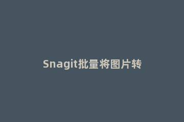 Snagit批量将图片转成黑白图片的操作过程 snagit图片保存格式