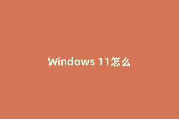 Windows 11怎么禁用快照布局