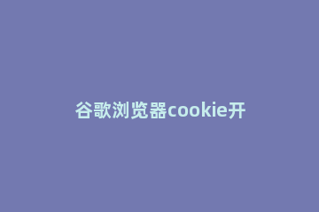 谷歌浏览器cookie开启方法 谷歌浏览器如何启用cookie