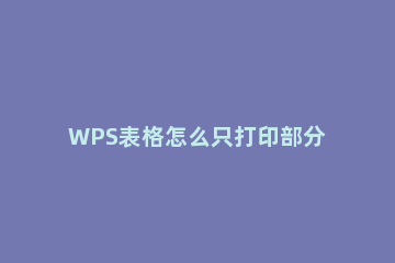 WPS表格怎么只打印部分内容 wps怎么只打印表格中的一部分