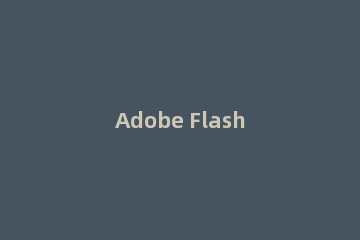 Adobe Flash Player取消自动更新的操作介绍