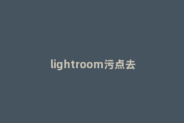 lightroom污点去除功能使用过程介绍 lightroom使用技巧