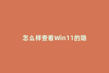 怎么样查看Win11的隐秘项目？Win11隐秘项目查看教程方法分享 win10怎么查看隐藏项目