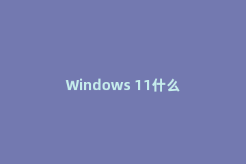 Windows 11什么是目前缺失或即将消失
