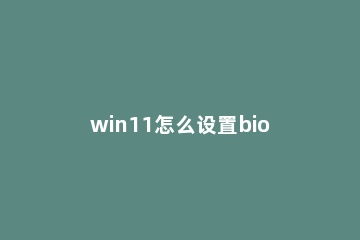 win11怎么设置bios？win11设置bios的详细方法 win11安装bios设置