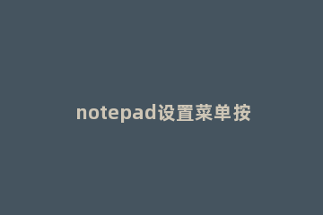 notepad设置菜单按钮样式的操作流程 notepad++自动调整格式快捷键