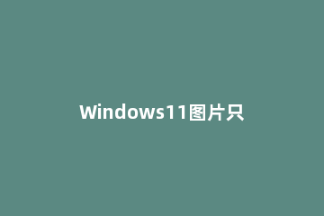 Windows11图片只显示图标怎么办 win11桌面图标怎么显示