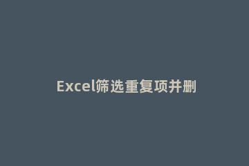 Excel筛选重复项并删除的操作方法 excel如何筛选重复项并删除