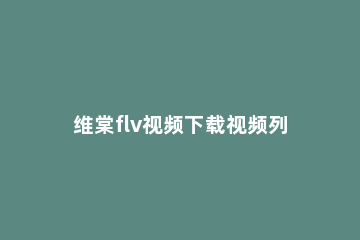 维棠flv视频下载视频列表的图文操作 维棠视频下载器