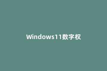 Windows11数字权利如何激活 Windows数字权利激活