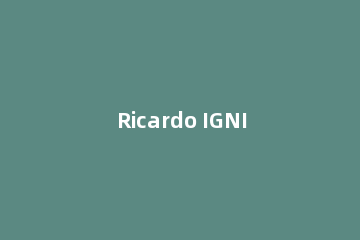 Ricardo IGNITE 2018安装的详细操作教程