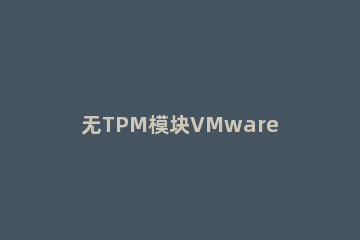 无TPM模块VMware虚拟机怎么安装Win11?无TPM模块VMware虚拟机安装Win11教程方法