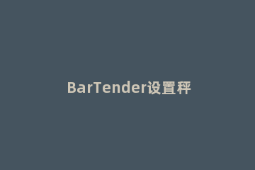 BarTender设置秤显示的详细操作过程 bartender怎么设置