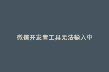 微信开发者工具无法输入中文怎么解决 微信找不到中文输入怎么办