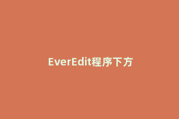 EverEdit程序下方如何显示标签栏 EverEdit在程序下方显示标签栏方法