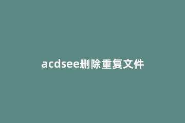 acdsee删除重复文件的图文操作 acdsee批量删除相同照片