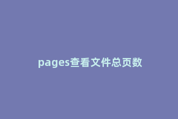 pages查看文件总页数的详细操作步骤 page如何查看字数