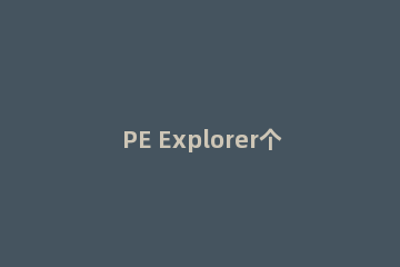 PE Explorer个性化XP任务管理器的操作步骤