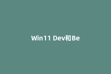 Win11 Dev和Beta渠道哪个好