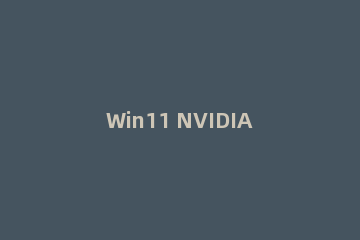 Win11 NVIDIA控制面板找不到了NVIDIA控制面板找不到的解决方法