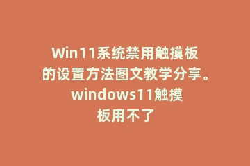 Win11系统禁用触摸板的设置方法图文教学分享。 windows11触摸板用不了