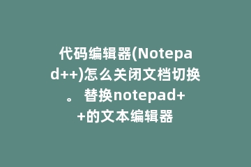 代码编辑器(Notepad++)怎么关闭文档切换。 替换notepad++的文本编辑器