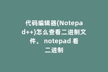 代码编辑器(Notepad++)怎么查看二进制文件。 notepad 看二进制