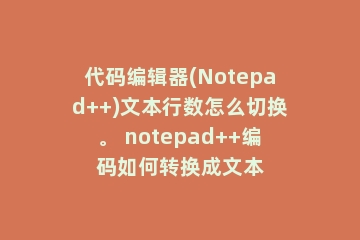 代码编辑器(Notepad++)文本行数怎么切换。 notepad++编码如何转换成文本