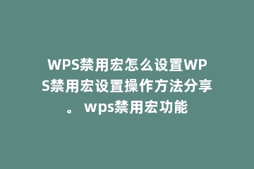 WPS禁用宏怎么设置WPS禁用宏设置操作方法分享。 wps禁用宏功能
