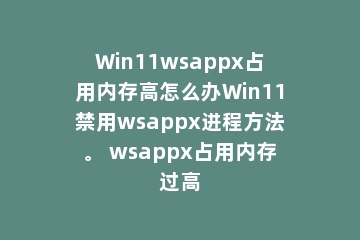 Win11wsappx占用内存高怎么办Win11禁用wsappx进程方法。 wsappx占用内存过高