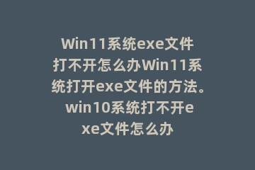 Win11系统exe文件打不开怎么办Win11系统打开exe文件的方法。 win10系统打不开exe文件怎么办
