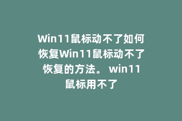 Win11鼠标动不了如何恢复Win11鼠标动不了恢复的方法。 win11鼠标用不了