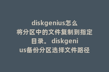 diskgenius怎么将分区中的文件复制到指定目录。 diskgenius备份分区选择文件路径