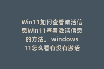 Win11如何查看激活信息Win11查看激活信息的方法。 windows11怎么看有没有激活