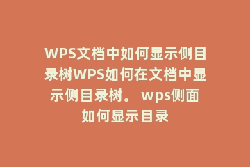 WPS文档中如何显示侧目录树WPS如何在文档中显示侧目录树。 wps侧面如何显示目录