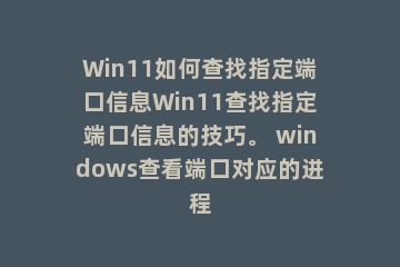 Win11如何查找指定端口信息Win11查找指定端口信息的技巧。 windows查看端口对应的进程