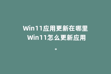 Win11应用更新在哪里 Win11怎么更新应用。