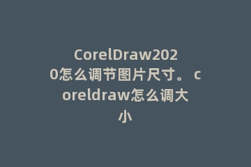CorelDraw2020怎么调节图片尺寸。 coreldraw怎么调大小